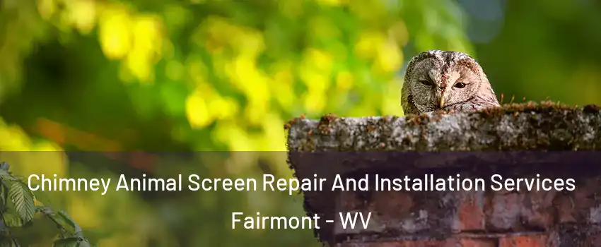  Chimney Animal Screen Repair And Installation Services Fairmont - WV