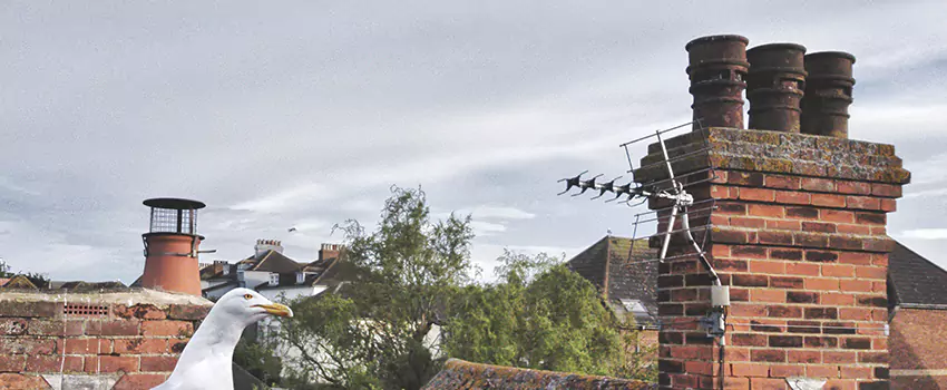 Chimney Cleaning And Restoration in Fairmont, West Virginia